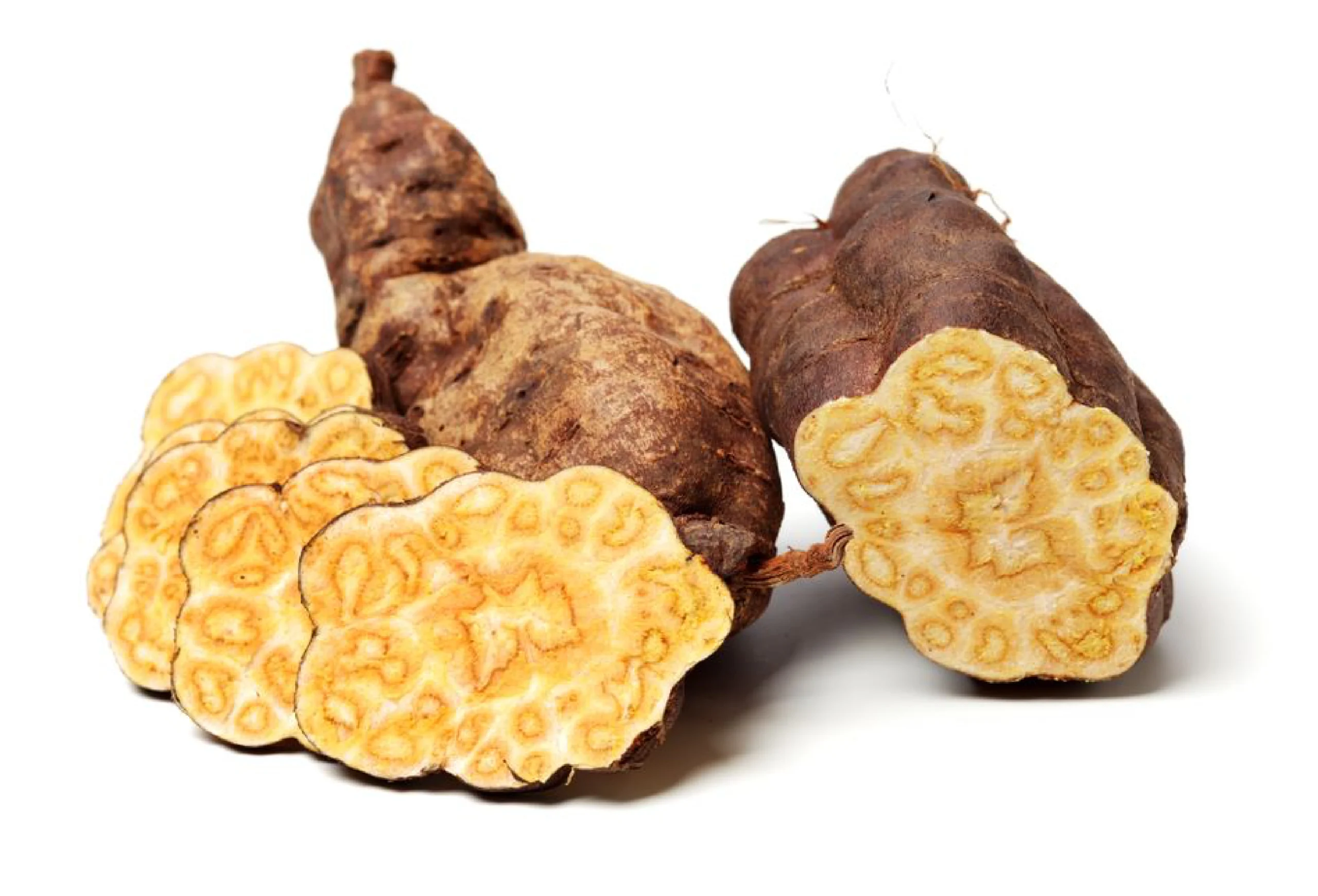 Hà Thủ Ô – Bồi bổ khí huyết, đẩy lùi suy nhược