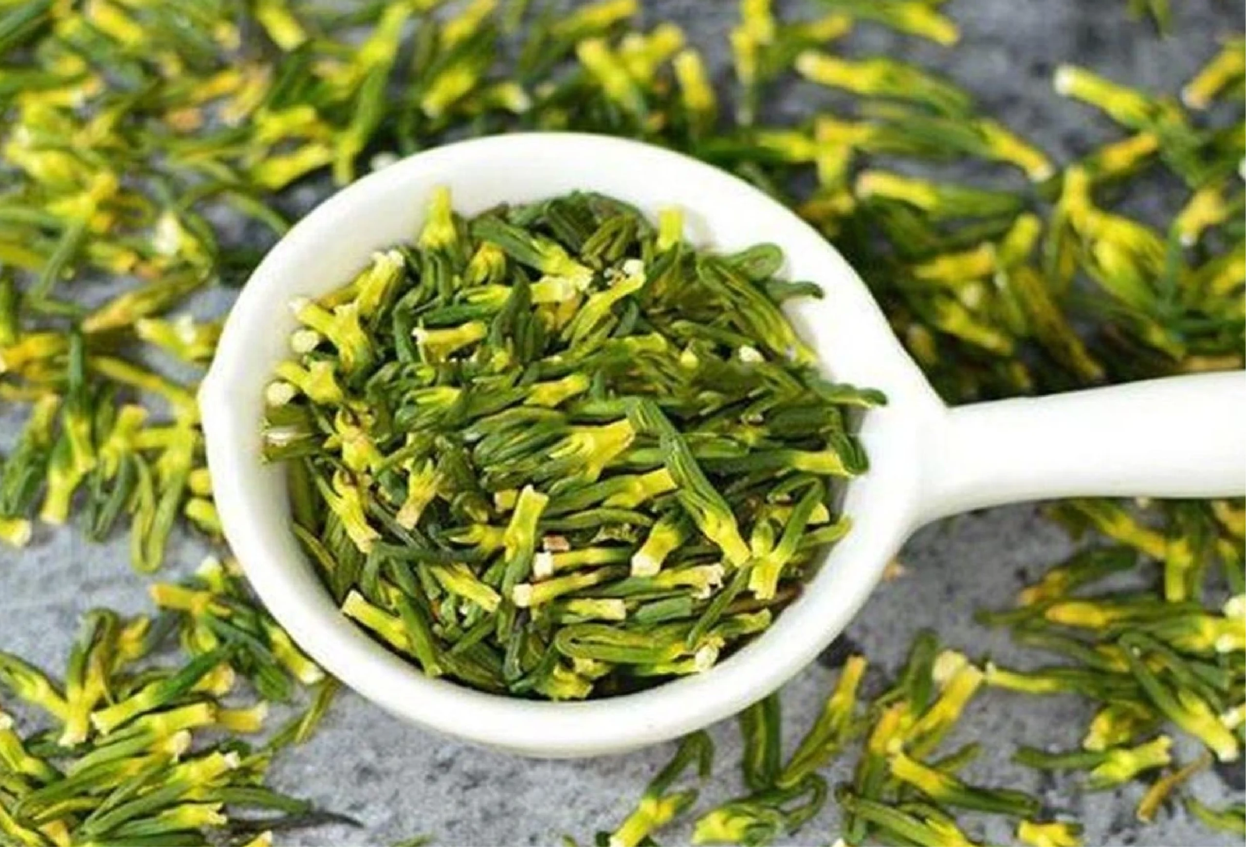 Tim Sen – Vị thuốc đắng làm dịu tâm hồn