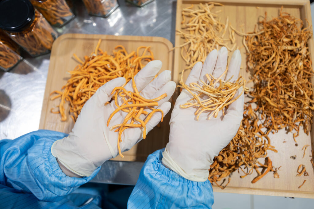 tăng cường đề kháng